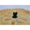 Tala Ceramic Black Bird Pie Funnel