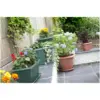 Whitefurze 40cm (16") Venetian Trough Terracotta