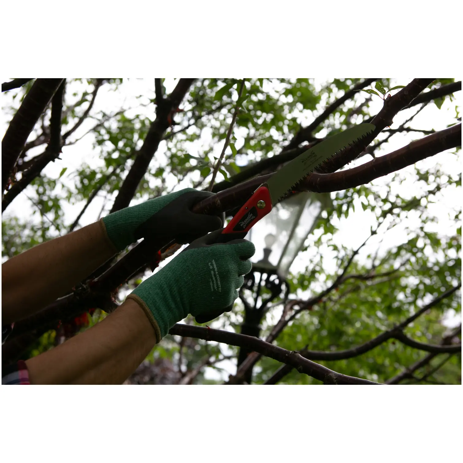 Wilkinson Sword Folding PruningSaw