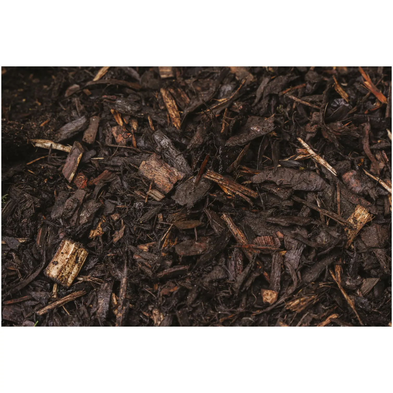 WTD0009_3 Westland Decorative Mini Bark Chips 70 Litres