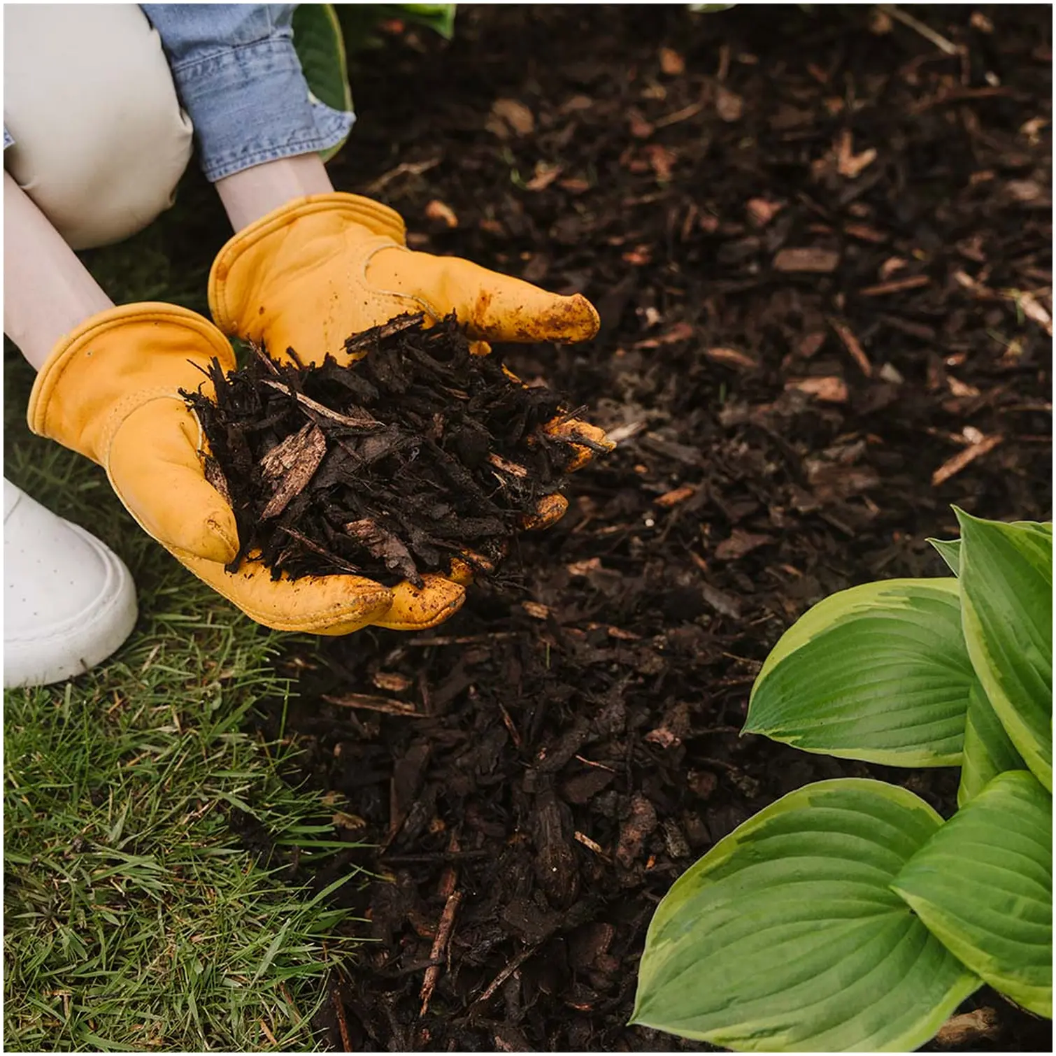 WTD0009_4 Westland Decorative Mini Bark Chips 70 Litres