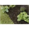 WTD0009_5 Westland Decorative Mini Bark Chips 70 Litres