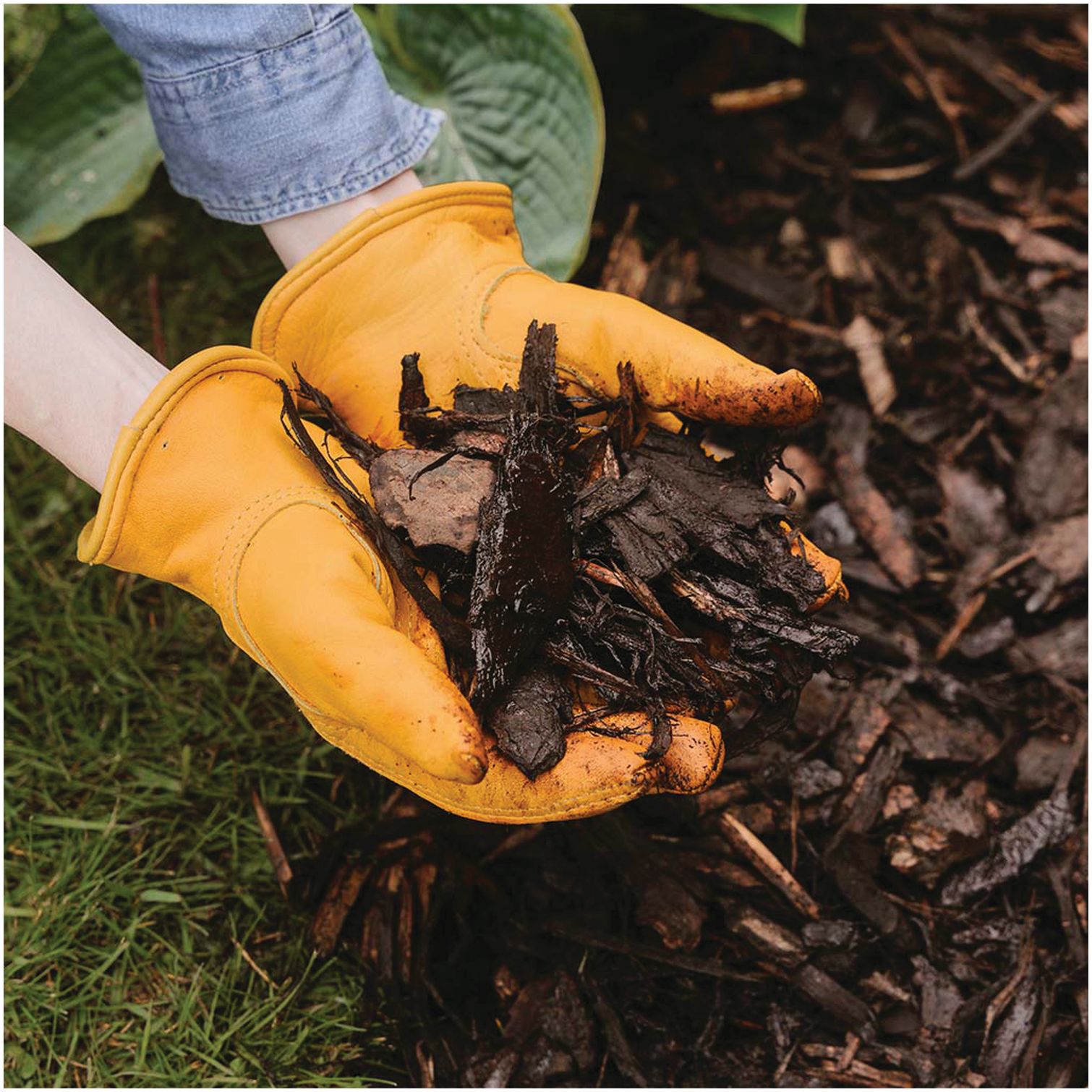 WTD0010_5 Westland Landscape Bark Chips 100 Litres