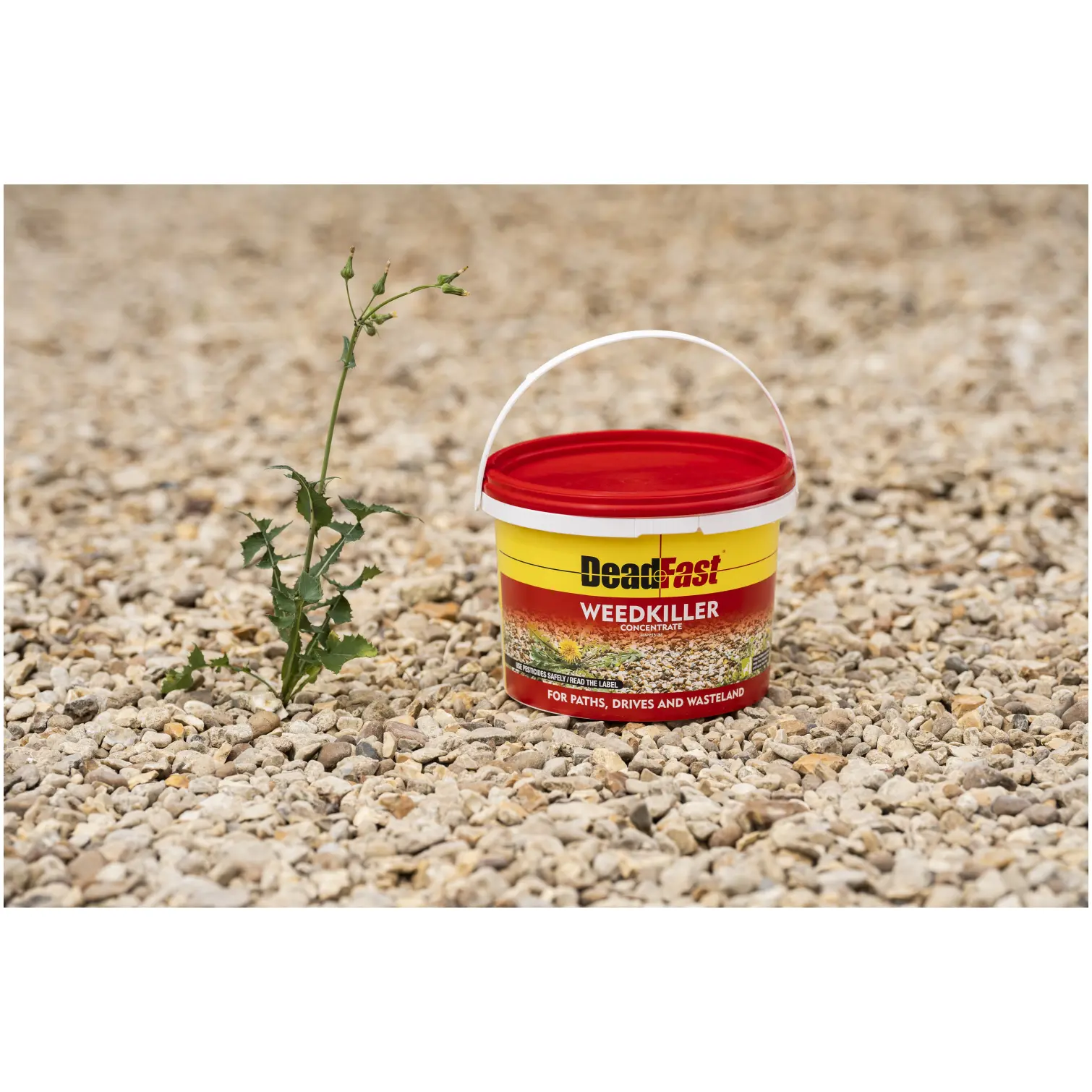 Deadfast Weedkiller 12 Sachet