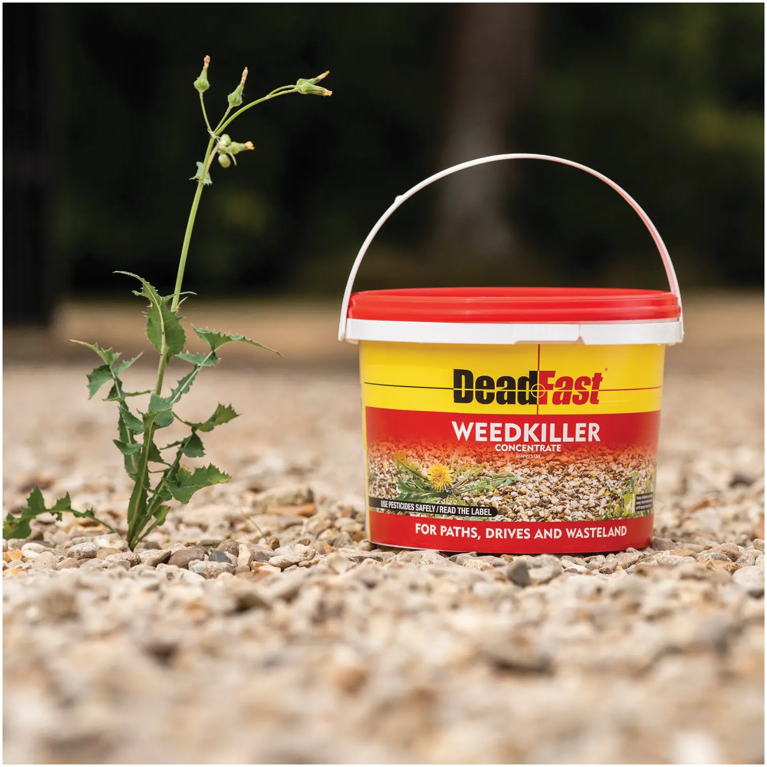 Deadfast Weedkiller 12 Sachet