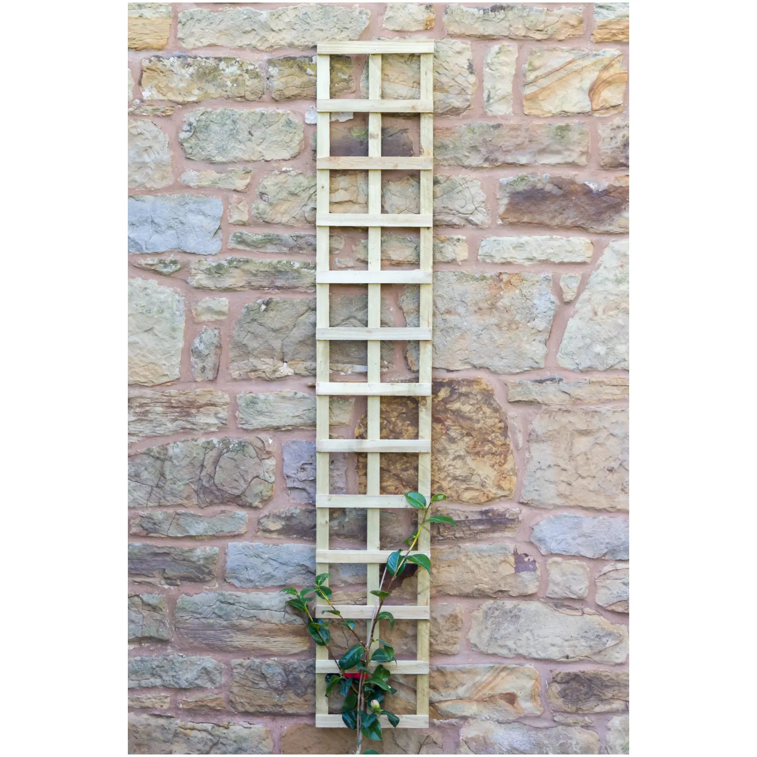 Zest4Leisure 1.8m x 305mm Fixed Trellis