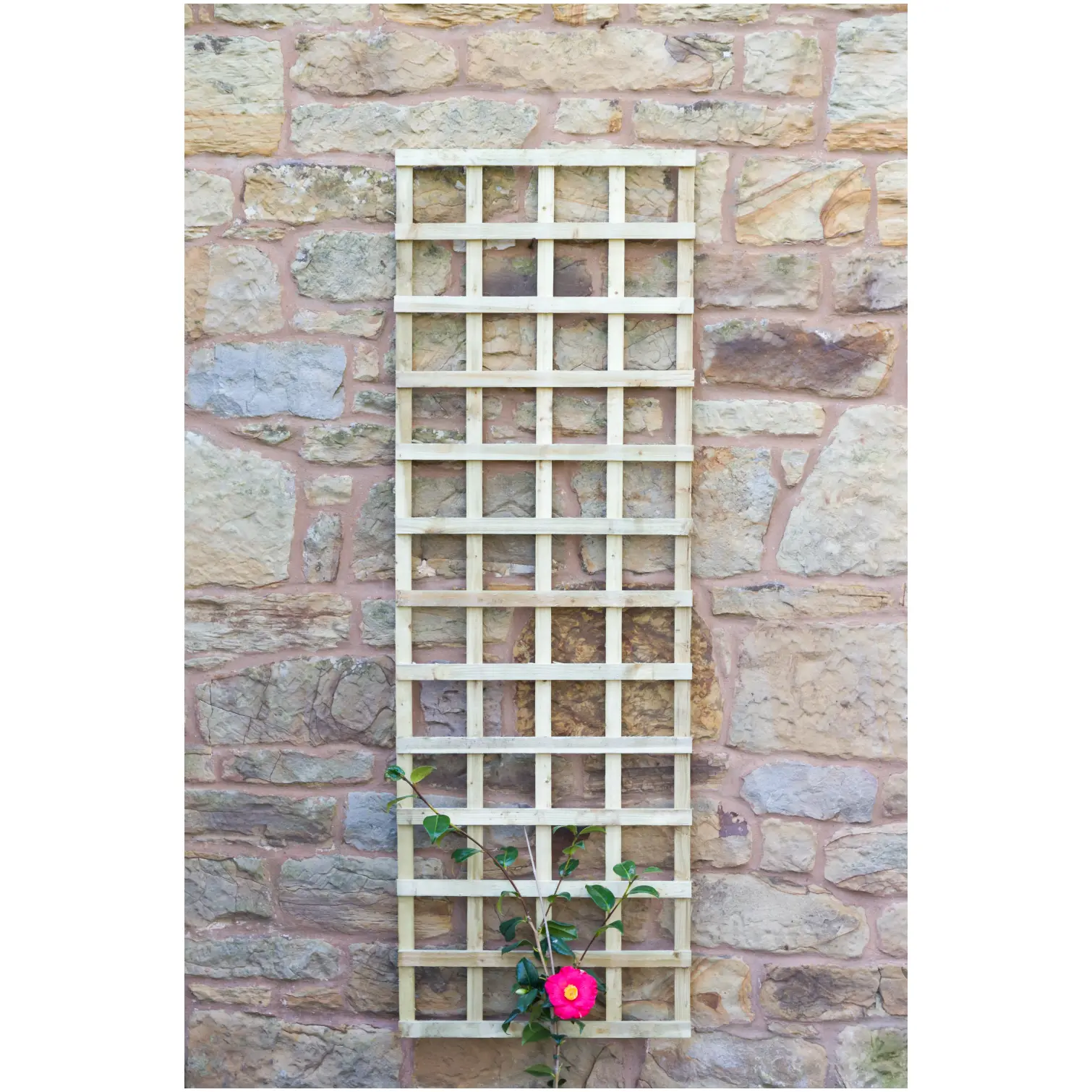 Zest4Leisure 1.8m x 615mm Fixed Trellis