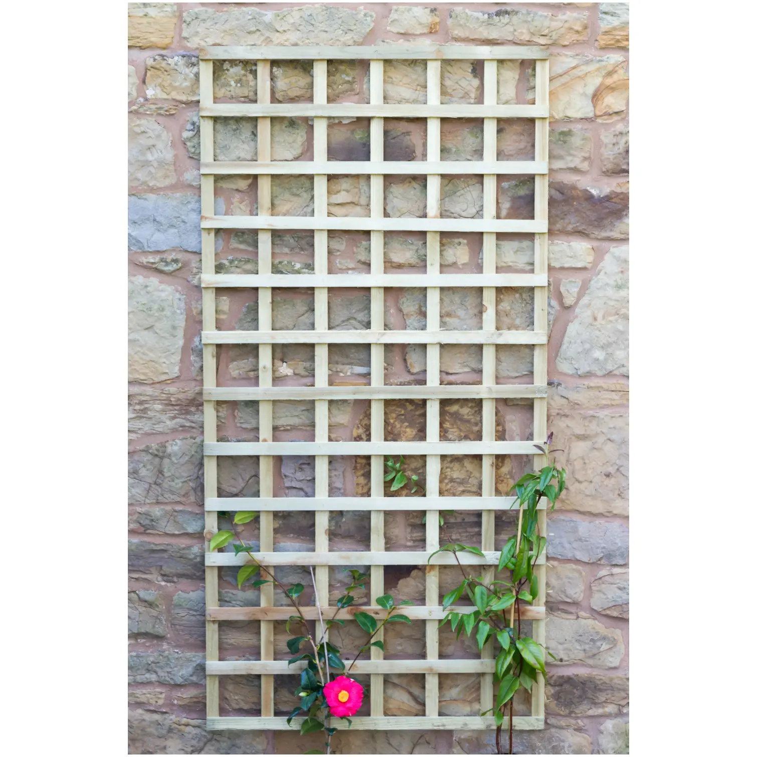 Zest4Leisure 1.8m x 915mm Fixed Trellis