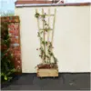 ZES0015_2 Zest4Leisure 1.8m x 630mm Fan Trellis Tan