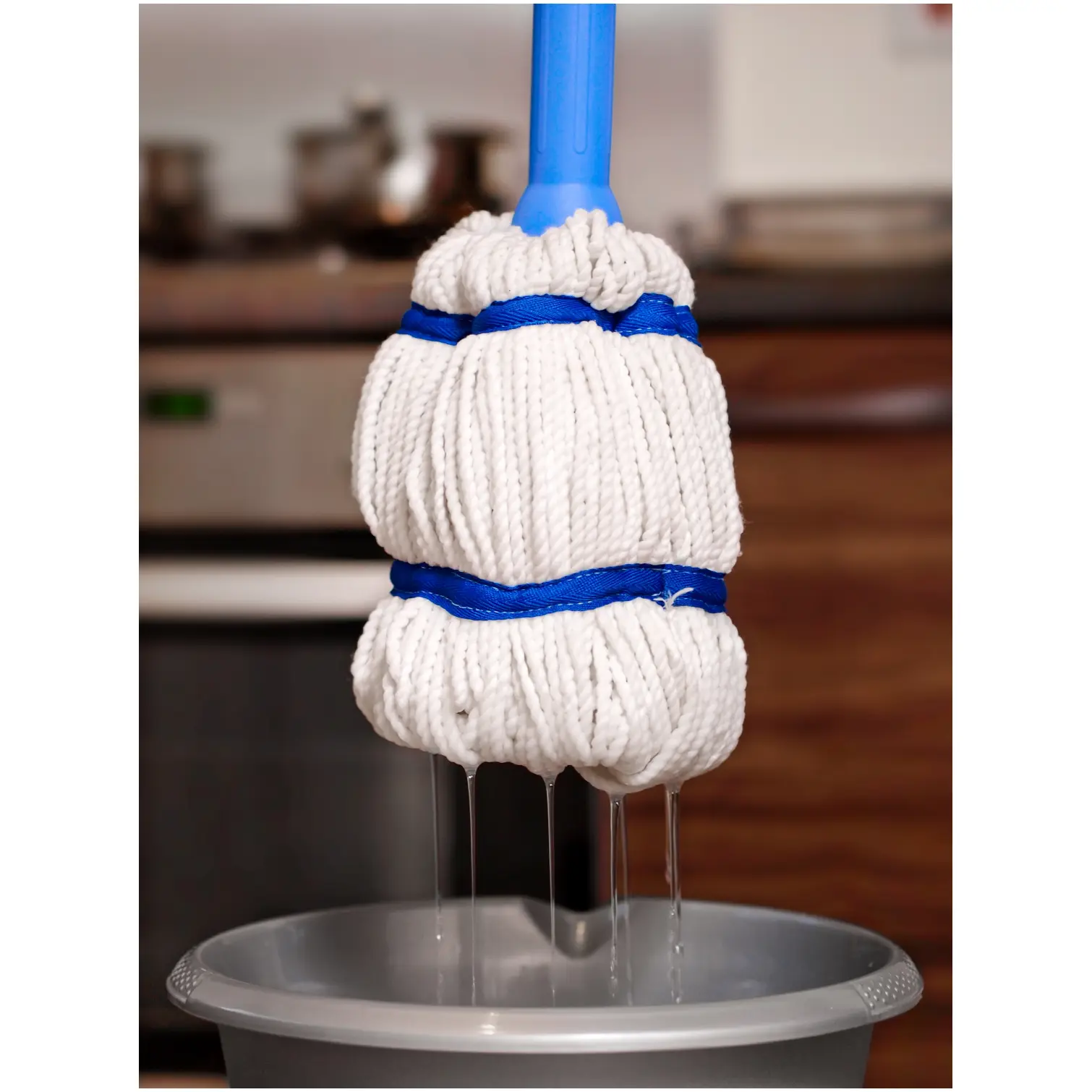 Dlux Microfibre Twist Mop