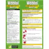 Weedol Lawn Weedkiller 1ltr