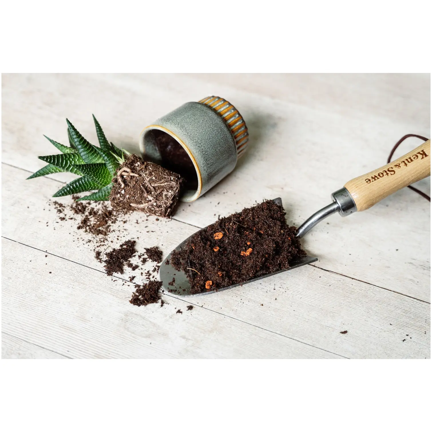Westland Cacti & Succulent Potting Mix 4ltr