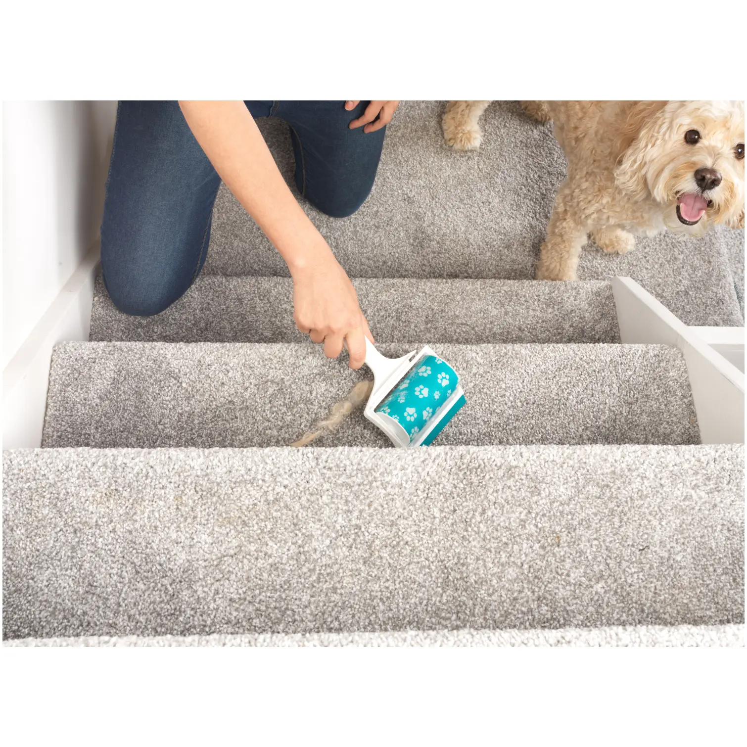 Beldray Pet Plus Paw Gel Roller