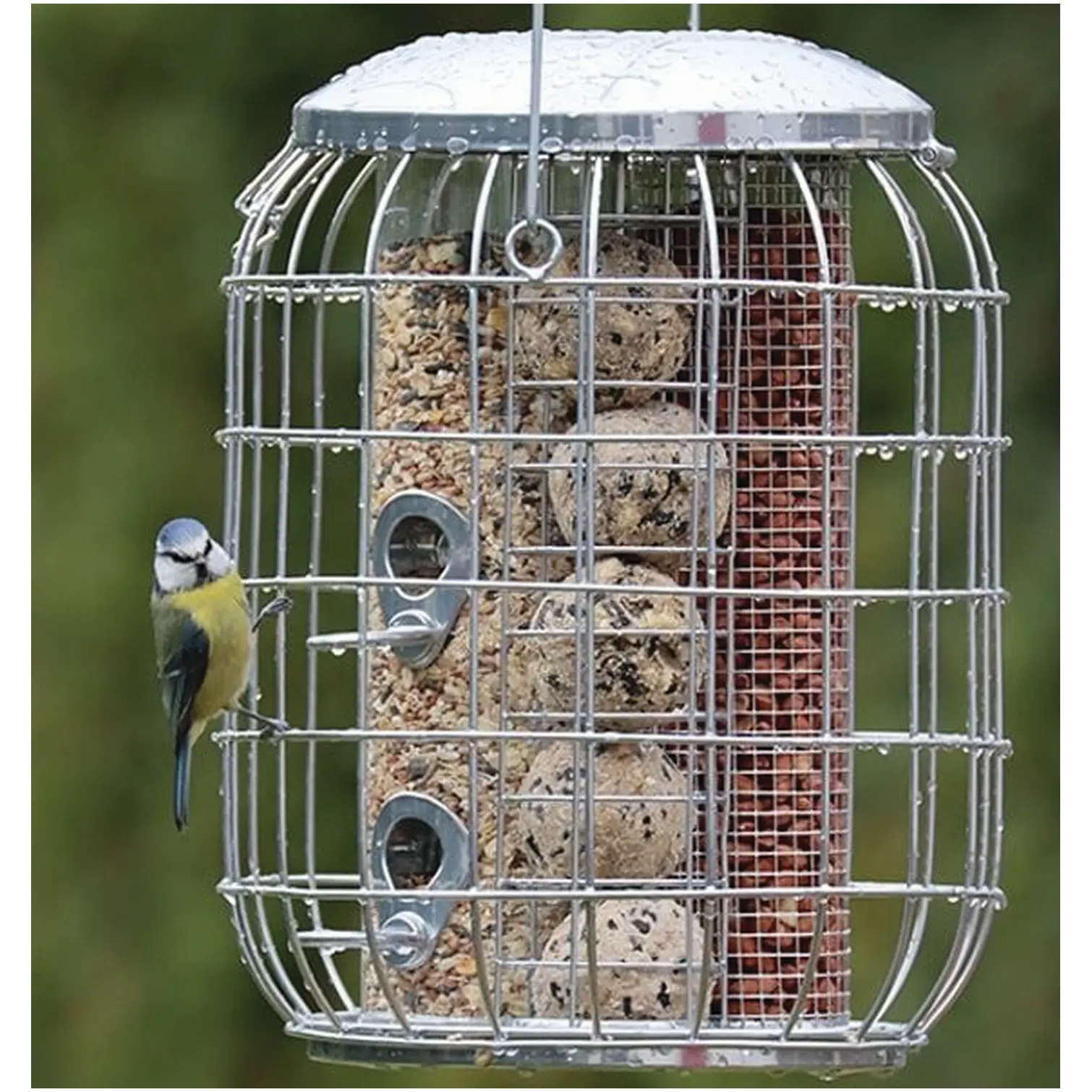 Henry Bell 3in1 Squirrel Proof Feeder