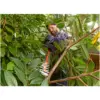 B&D BEHTS501 Hedge Trimmer 60cm Cut