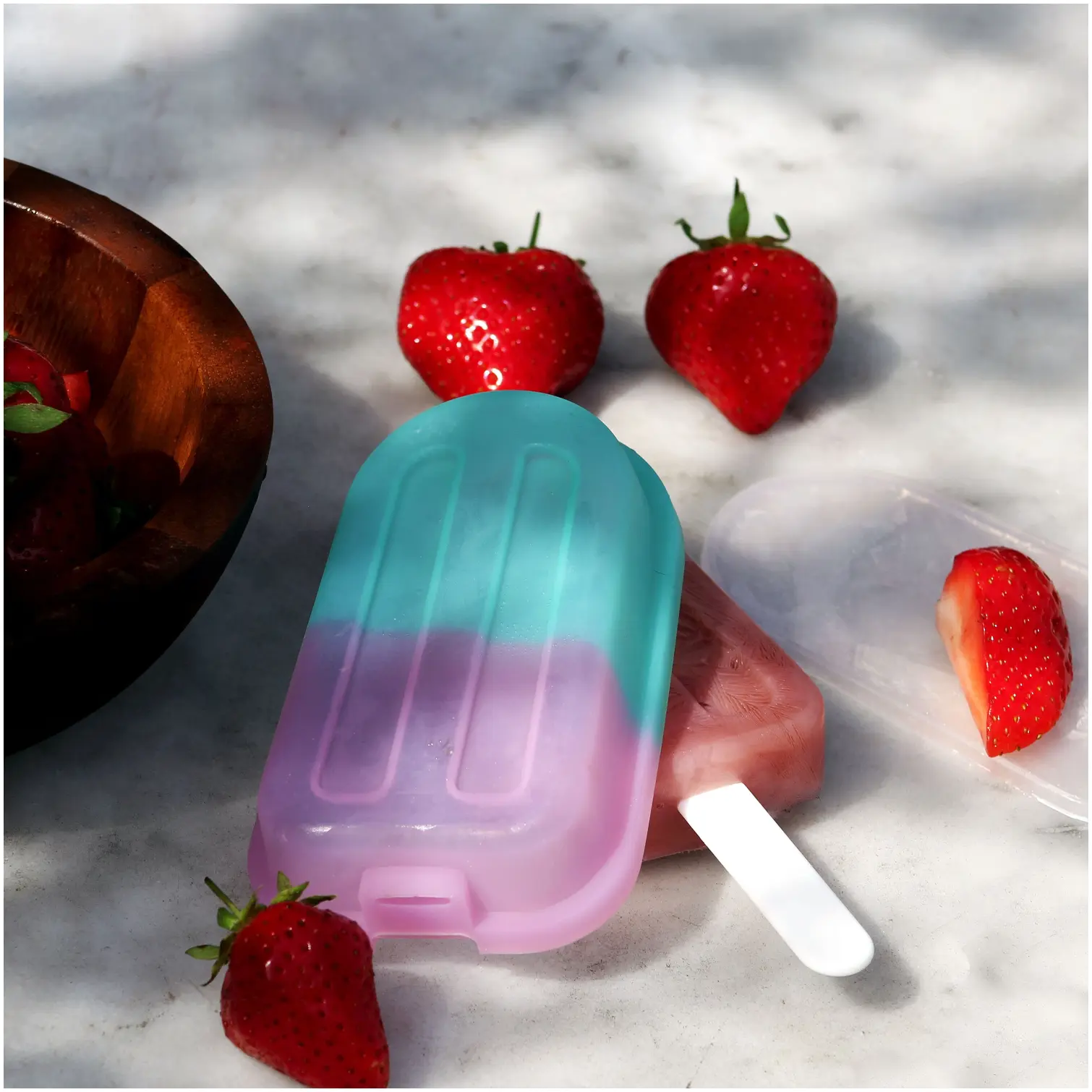 TLA0241_8 Tala Silicone Lolly Mould