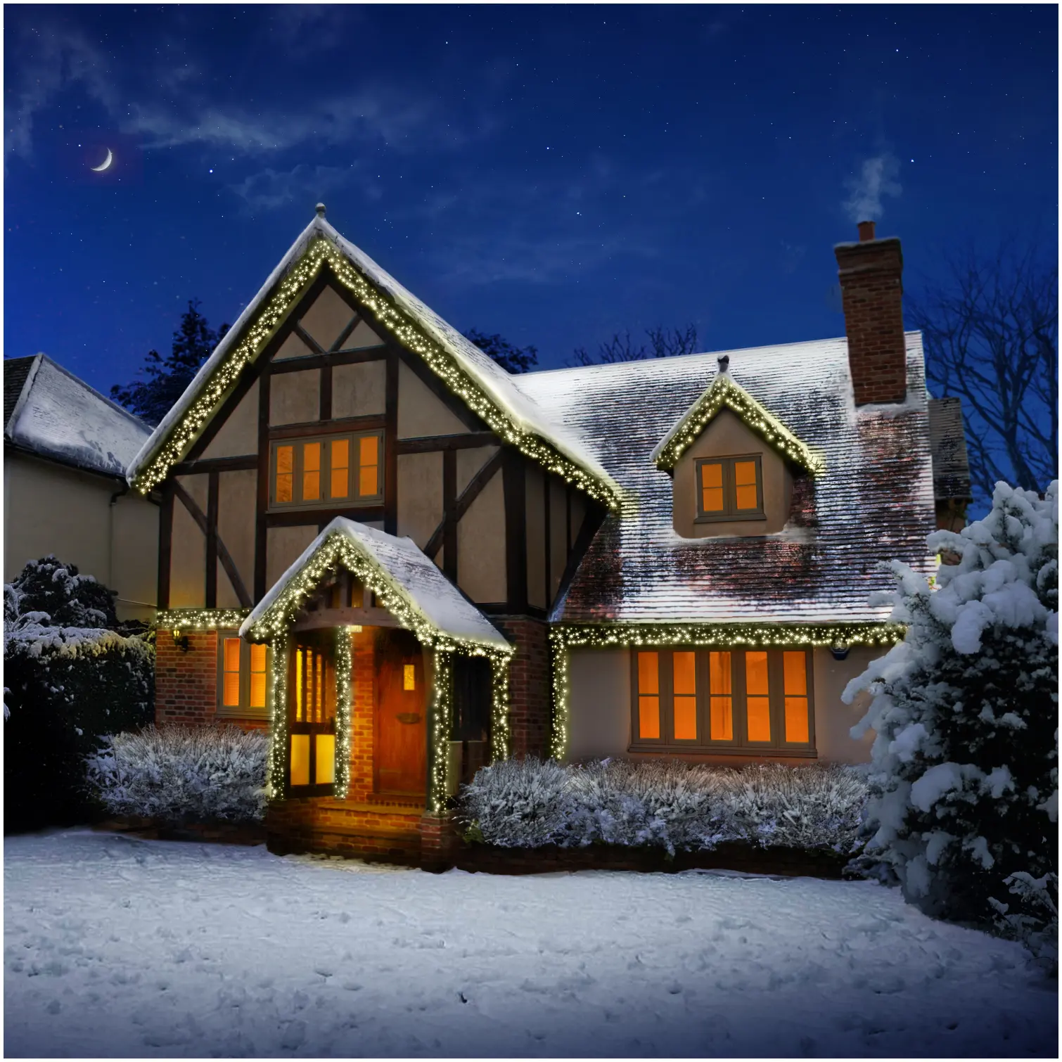 Premier 720 LED ClusterBrights Warm White