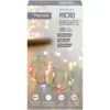 Premier 100 LED MicroBrights Multi-Colour