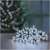 Premier 24 LED Timelights Warm White Battery Operated