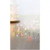 Premier 50 LED MicroBrights Multi-Colour