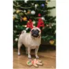 Squeaky Plush Christmas Dog Toy