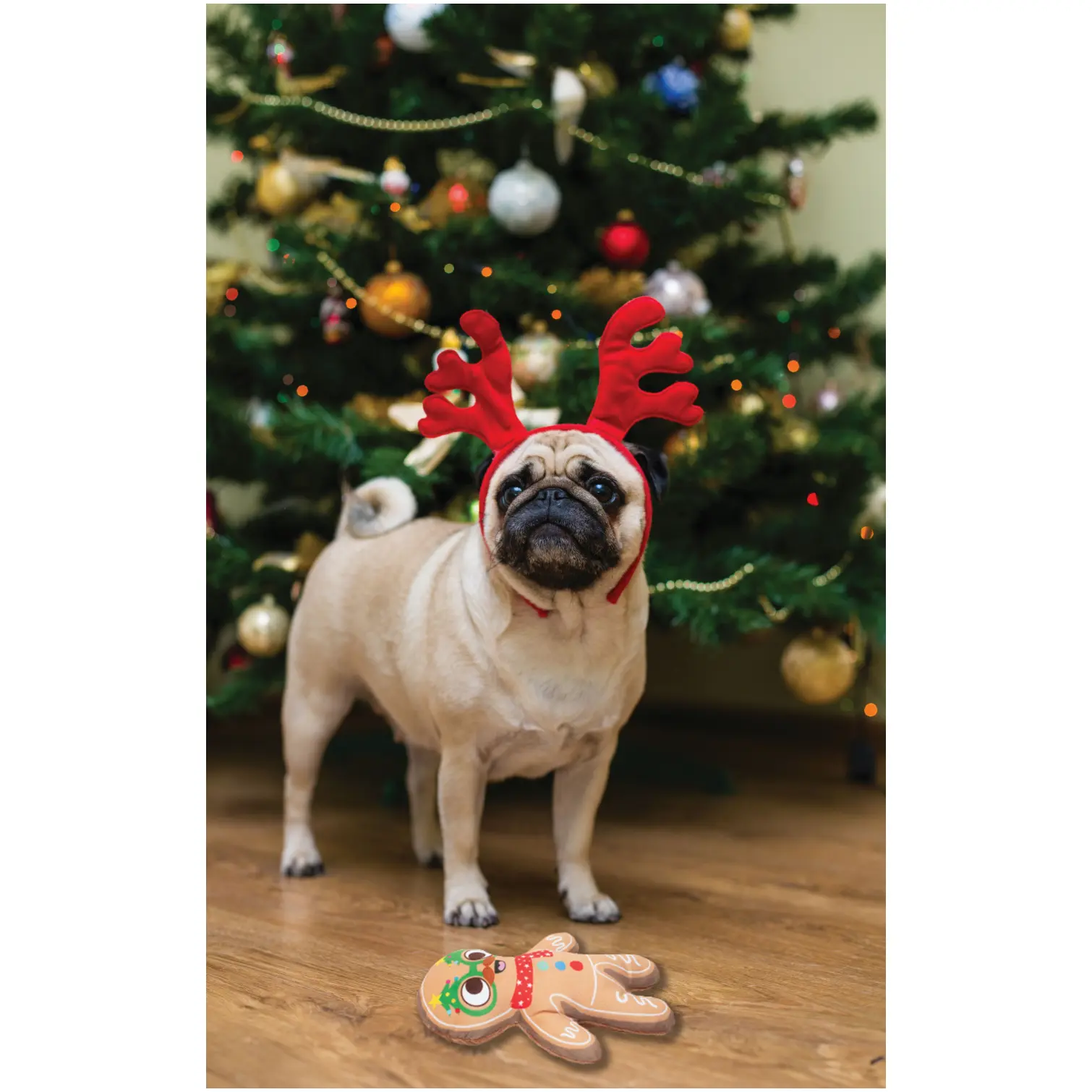 Squeaky Plush Christmas Dog Toy