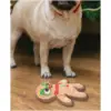 Squeaky Plush Christmas Dog Toy