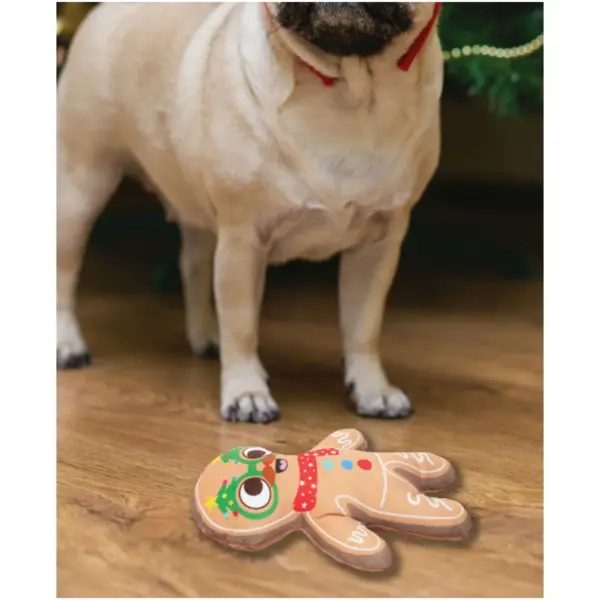Squeaky Plush Christmas Dog Toy