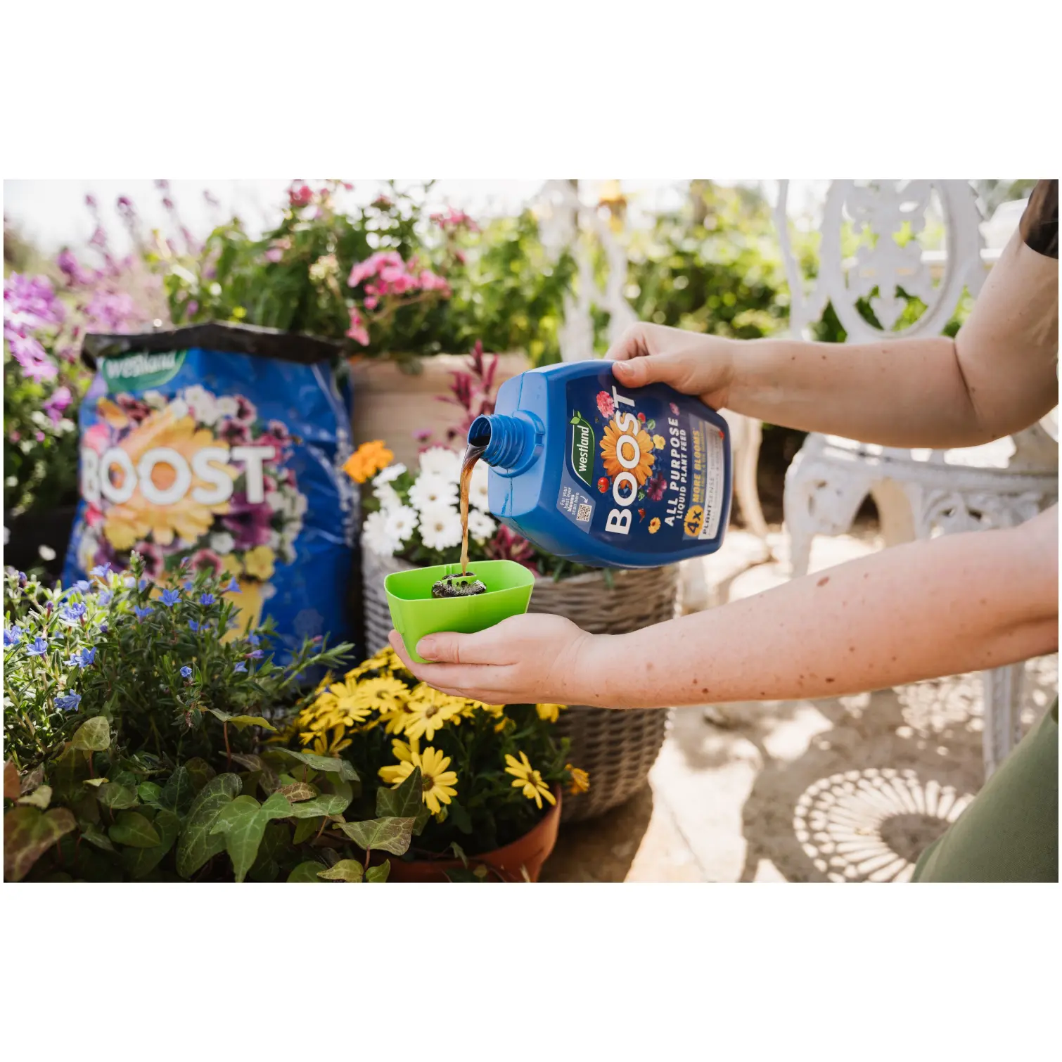 WTD0330_10 Westland Boost Plant Food 1ltr