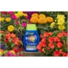 WTD0330_2 Westland Boost Plant Food 1ltr