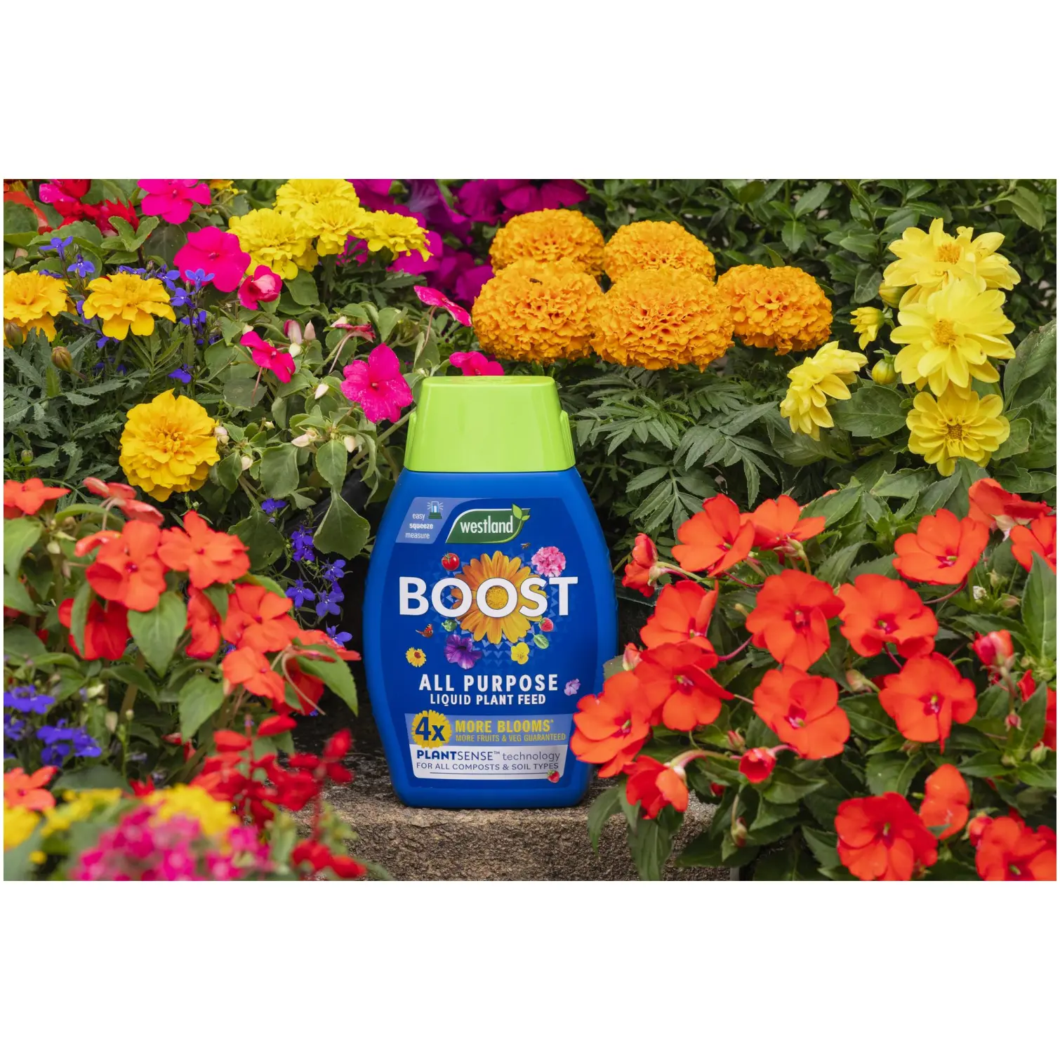 WTD0330_2 Westland Boost Plant Food 1ltr