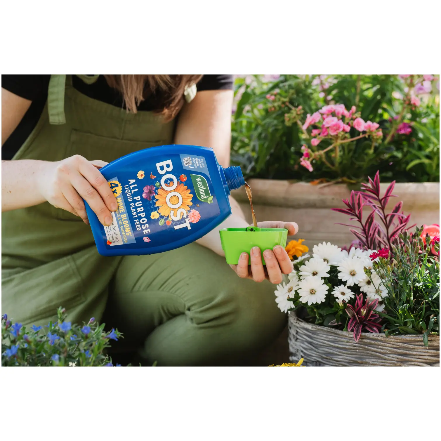 WTD0330_3 Westland Boost Plant Food 1ltr