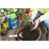 WTD0330_4 Westland Boost Plant Food 1ltr