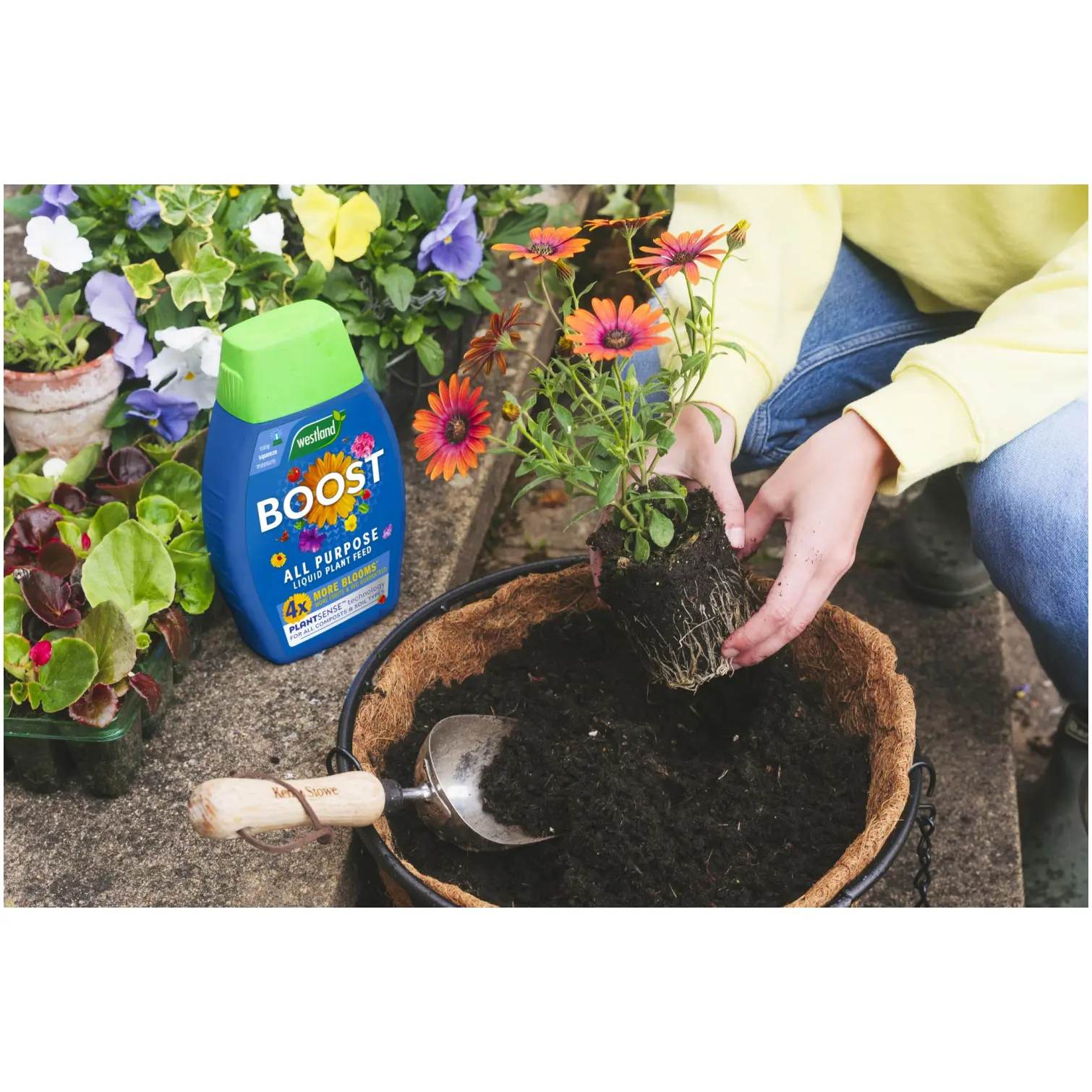 WTD0330_4 Westland Boost Plant Food 1ltr