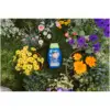 WTD0330_5 Westland Boost Plant Food 1ltr