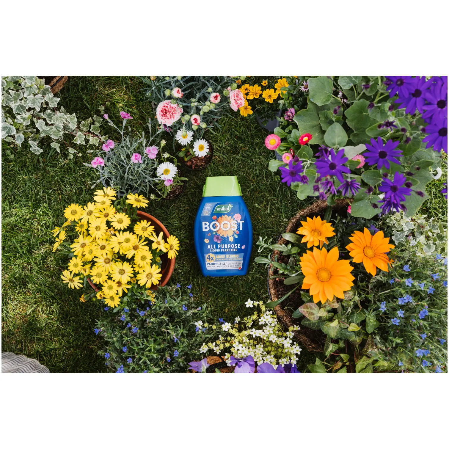 WTD0330_5 Westland Boost Plant Food 1ltr