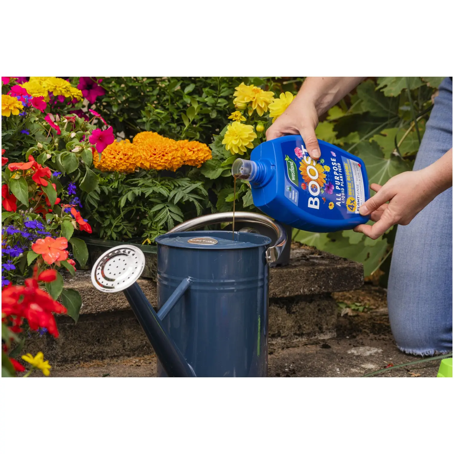 WTD0330_6 Westland Boost Plant Food 1ltr