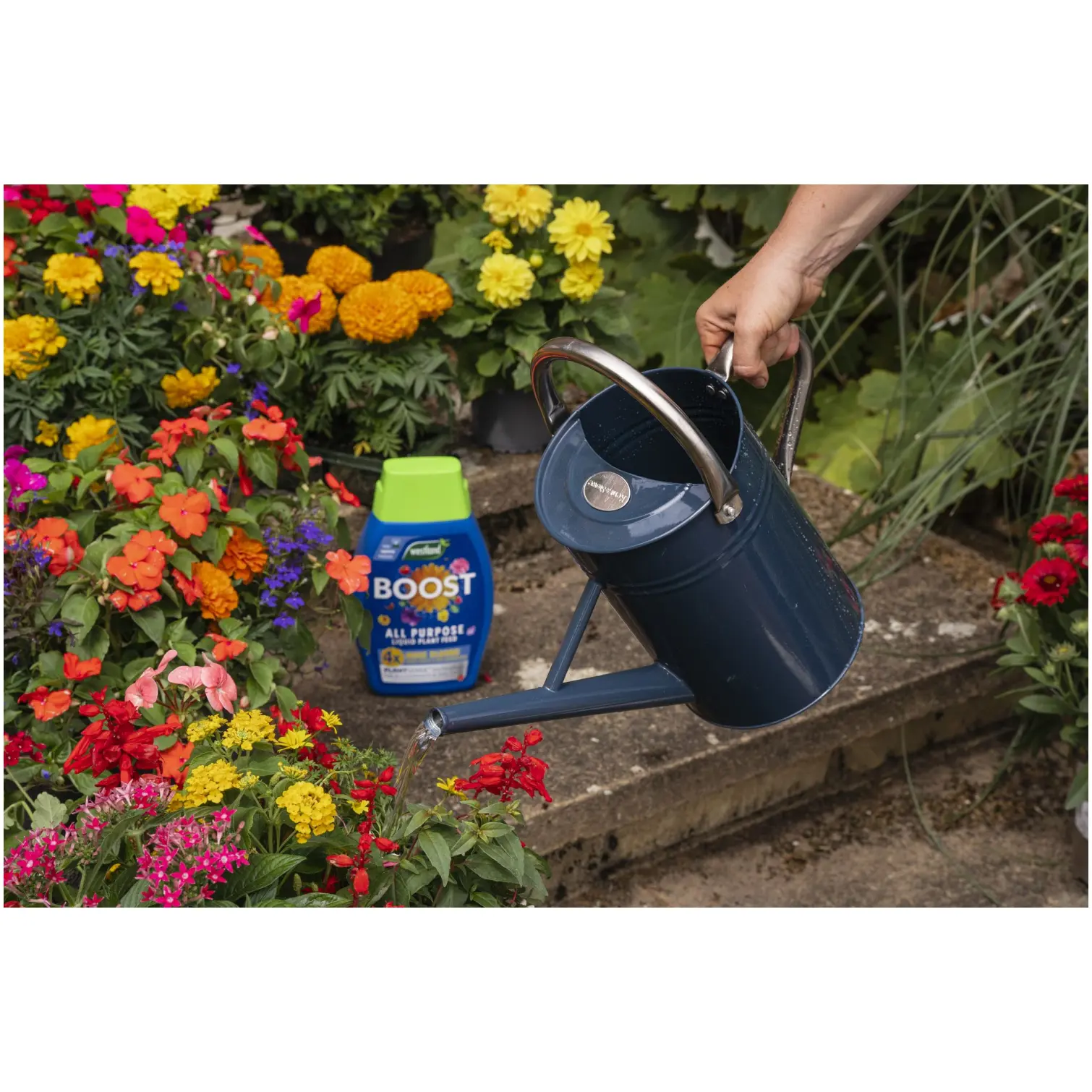 WTD0330_7 Westland Boost Plant Food 1ltr