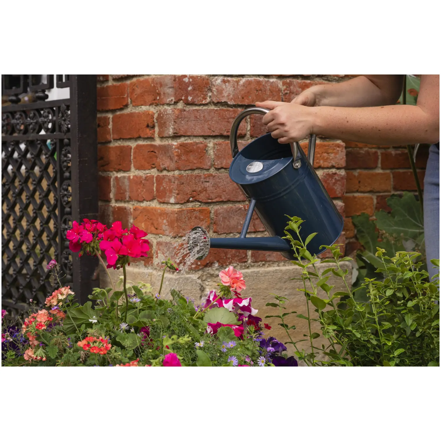 WTD0330_8 Westland Boost Plant Food 1ltr