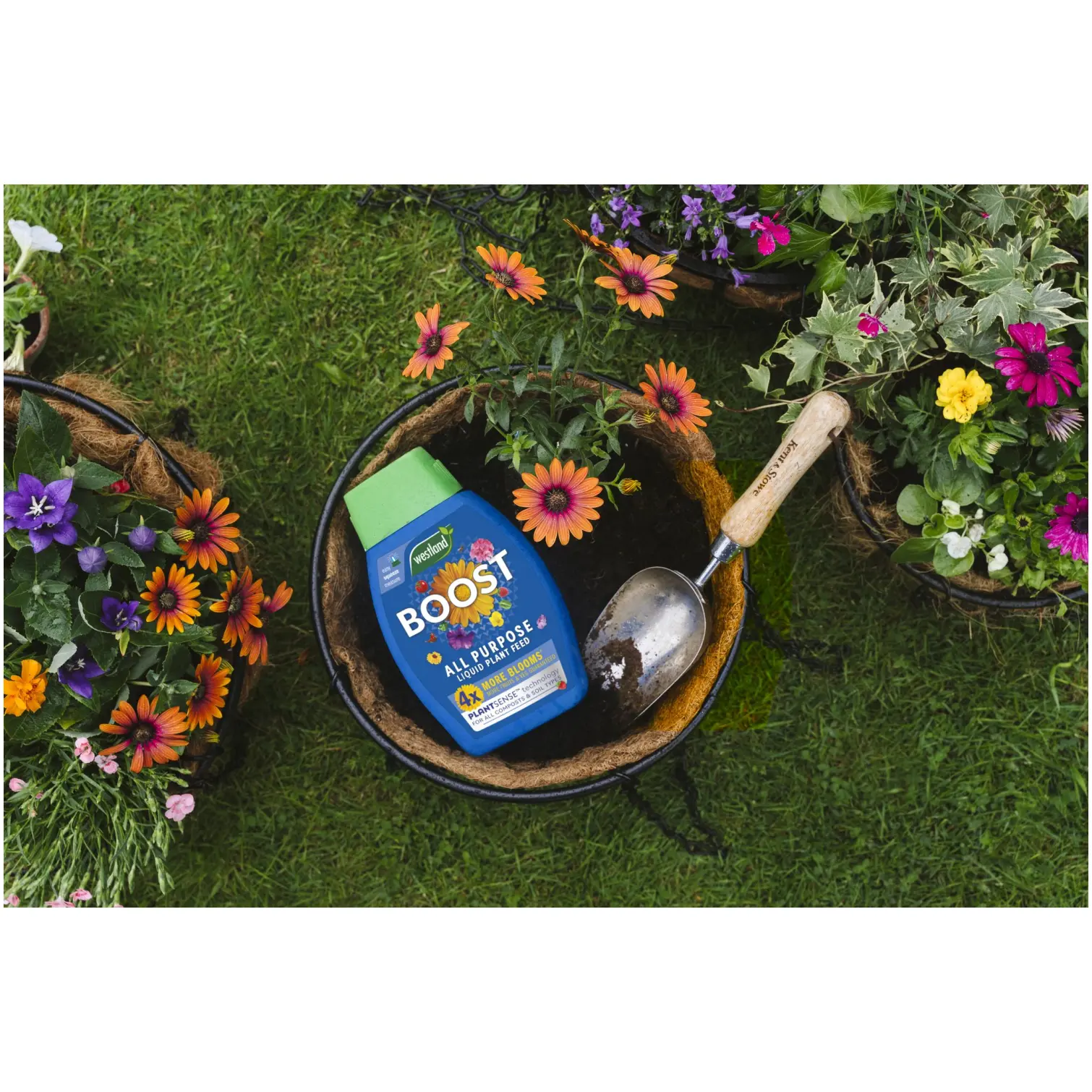 WTD0330_9 Westland Boost Plant Food 1ltr