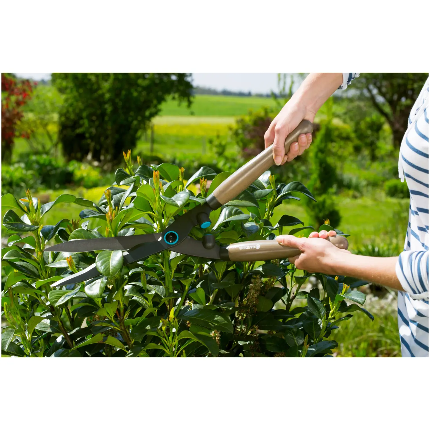 Gardena Wooden Handle Hedge Shear