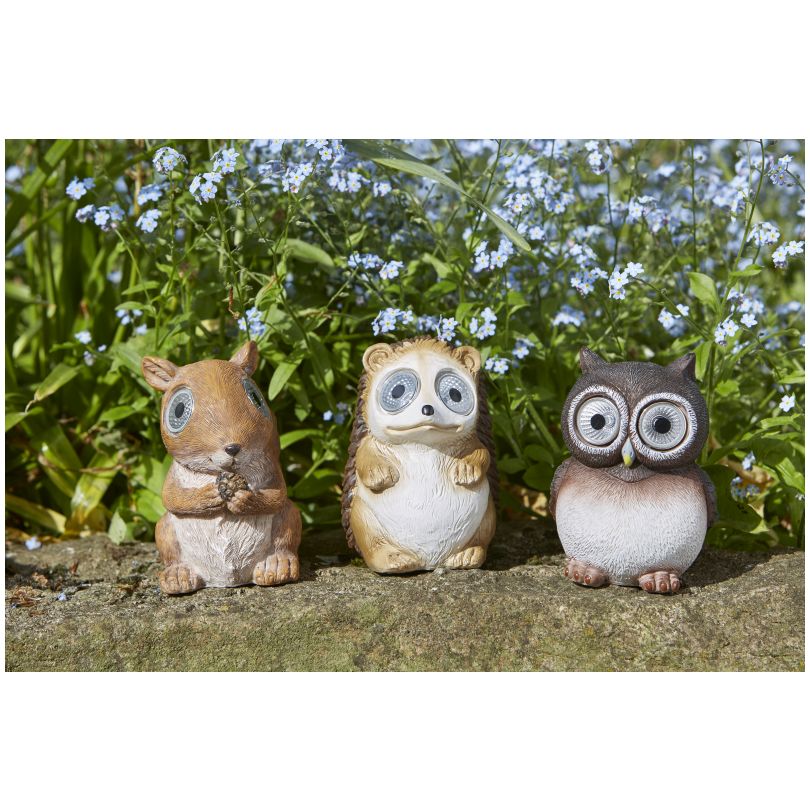 Smart Garden Bright Eyes Hedgerow Heroes Assorted