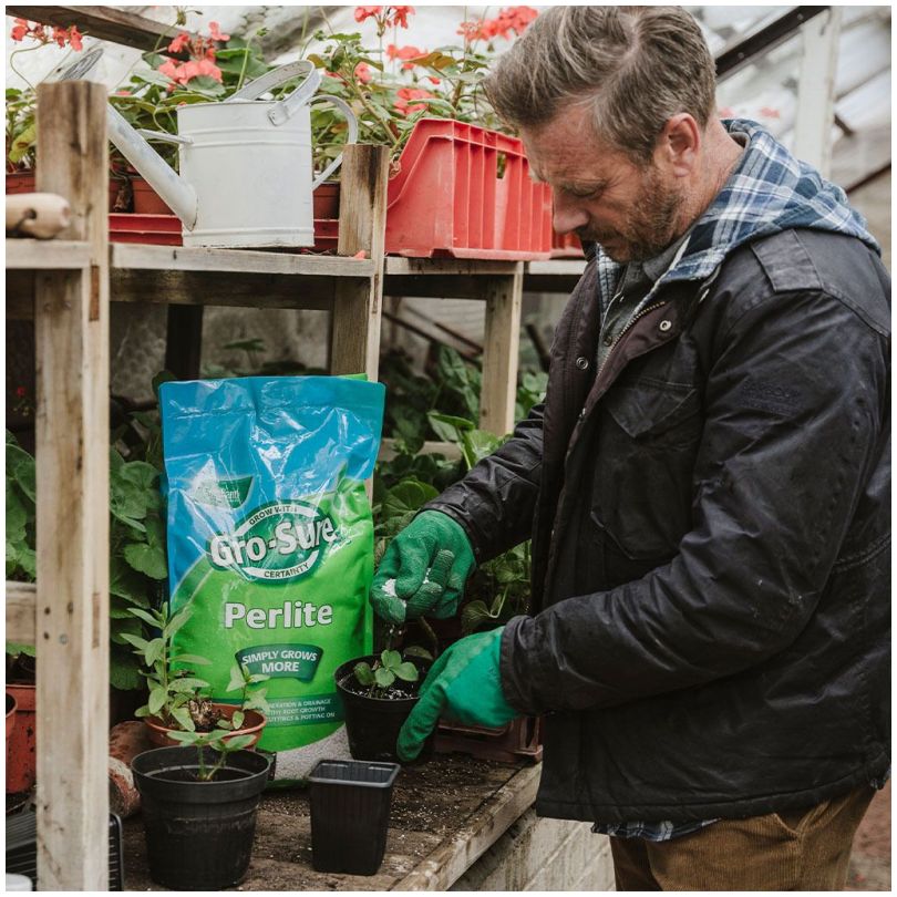 Westland Perlite 10Ltr
