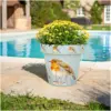 Creekwood Zest Pot Robin 30cm