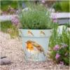 Creekwood Zest Pot Robin 30cm