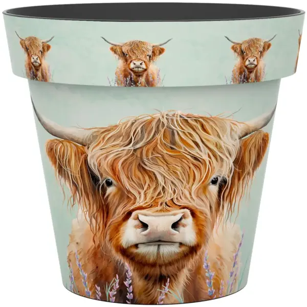 Creekwood Zest Pot Highland Cow 22cm
