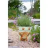 CKW0110_1 Creekwood Zest Pot Highland Cow 22cm