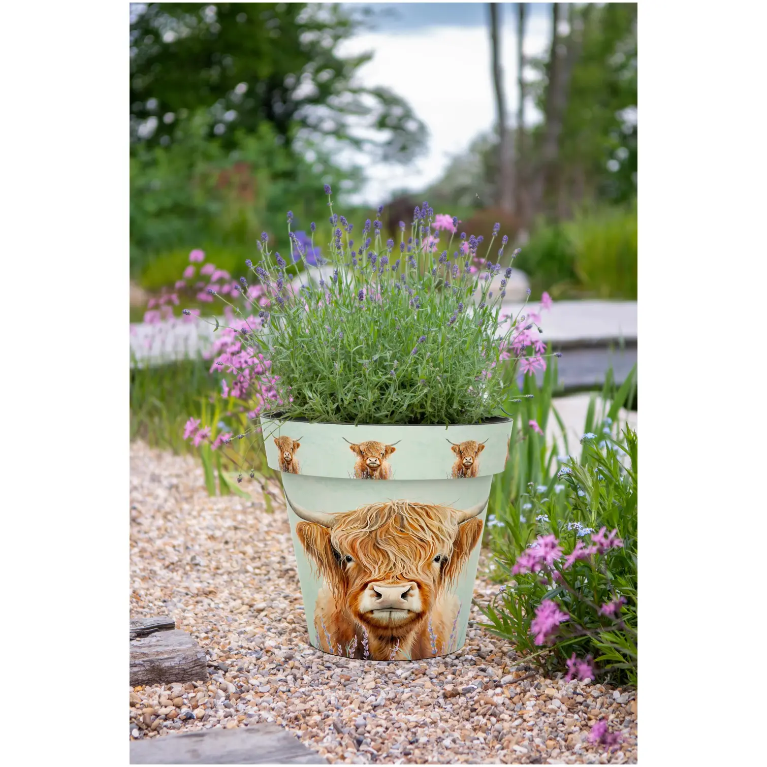 CKW0110_1 Creekwood Zest Pot Highland Cow 22cm