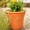 Chatsworth Planter 56cm Terracotta