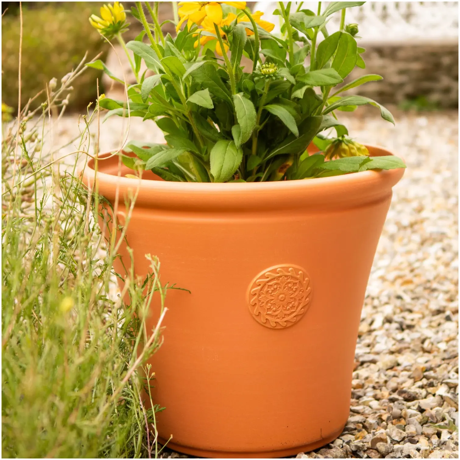 Chatsworth Planter 56cm Terracotta